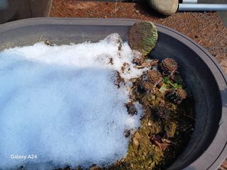 금동이네님의 자유주제 · 자유게시판 작성글 사진