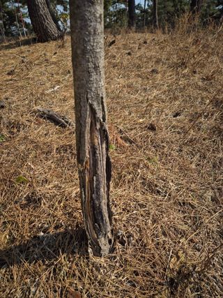 황찬용님의 농사, 무엇이든 물어보세요! · 참여글 작성글 사진