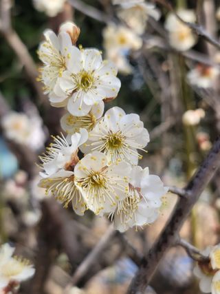 둥근마지기님의 자유주제 · 자유게시판 작성글 사진