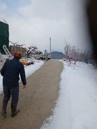 알 수 없음님의 자유주제 · 자유게시판 작성글 사진