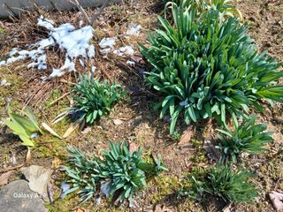 금동이네님의 자유주제 · 자유게시판 작성글 사진