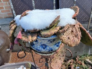 금동이네님의 자유주제 · 자유게시판 작성글 사진