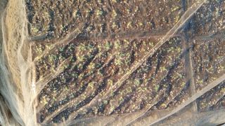 덕골아저씨님의 자유주제 · 자유게시판 작성글 사진