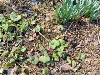 금동이네님의 자유주제 · 자유게시판 작성글 사진