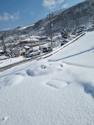 김용대님의 자유주제 · 자유게시판 작성글 사진