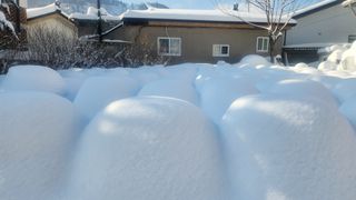 대두콩ㆍ고추 허진님의 자유주제 · 자유게시판 작성글 사진