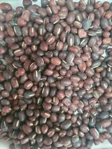 팜모닝 자유주제·자유게시판 게시글 이미지