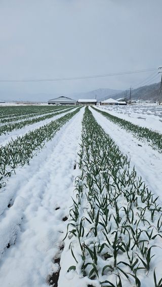 심진택님의 자유주제 · 자유게시판 작성글 사진