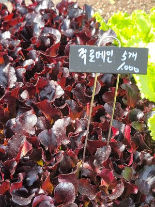 둥근마지기님의 자유주제 · 자유게시판 작성글 사진