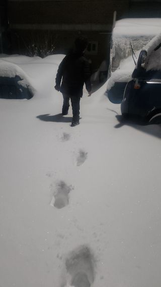 대두콩ㆍ고추 허진님의 자유주제 · 자유게시판 작성글 사진