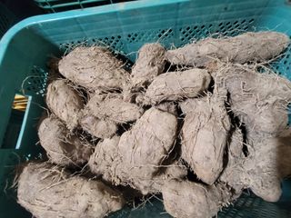 둥근마지기님의 작성글 사진