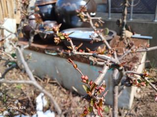 금동이네님의 자유주제 · 자유게시판 작성글 사진