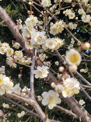 둥근마지기님의 자유주제 · 자유게시판 작성글 사진