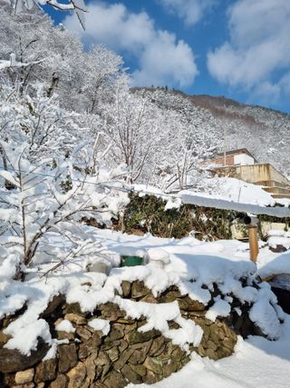 이상응님의 자유주제 · 자유게시판 작성글 사진