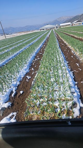 심진택님의 작성글 사진