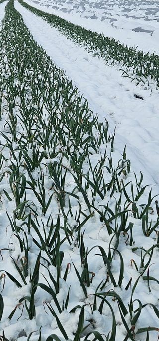 심진택님의 자유주제 · 자유게시판 작성글 사진