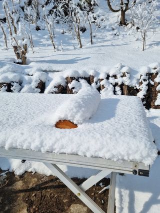 이상응님의 자유주제 · 자유게시판 작성글 사진