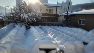 대두콩ㆍ고추 허진님의 자유주제 · 자유게시판 작성글 사진