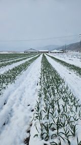 팜모닝 자유주제·사진전 게시글 이미지