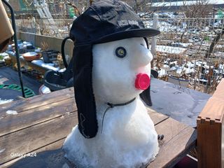 금동이네님의 자유주제 · 자유게시판 작성글 사진