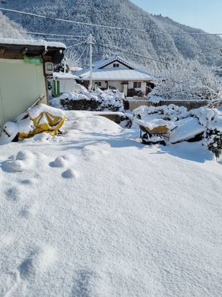 이상응님의 자유주제 · 자유게시판 작성글 사진