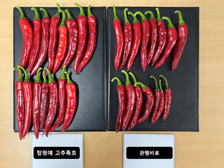 엔피코뉴스님의 자유주제 · 자유게시판 작성글 사진