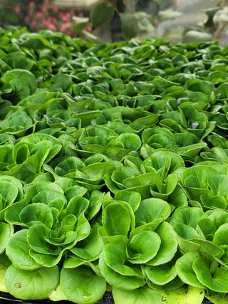 둥근마지기님의 자유주제 · 자유게시판 작성글 사진