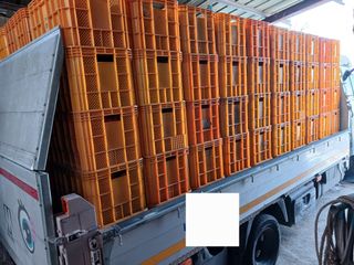 알 수 없음님의 자유주제 · 자유게시판 작성글 사진