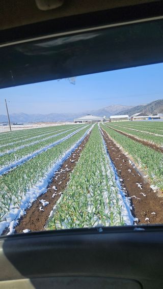 심진택님의 자유주제 · 사진전 작성글 사진