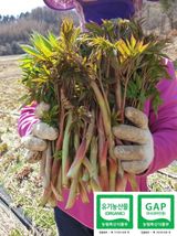 팜모닝 · 게시글 이미지