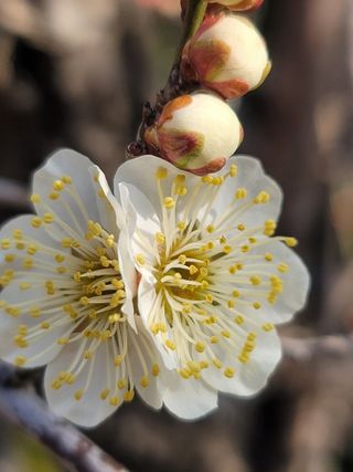 둥근마지기님의 자유주제 · 자유게시판 작성글 사진