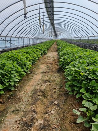 김동수님의 자유주제 · 자유게시판 작성글 사진