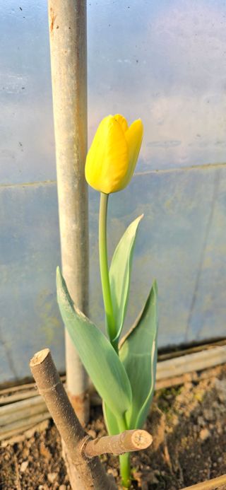 채대영님의 자유주제 · 자유게시판 작성글 사진