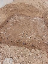 팜모닝 자유주제·자유게시판 게시글 이미지