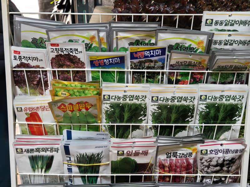 돼지파쪽파님의 장터 판매 상품 [각종 씨앗 25년 생산된 신선씨앗 ] 첨부 사진