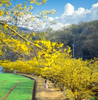 이순화님의 자유주제 · 자유게시판 작성글 사진