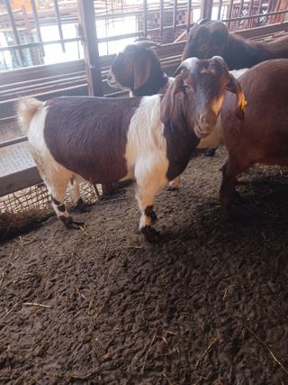 최제영님의 자유주제 · 자유게시판 작성글 사진