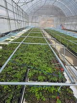 팜모닝 자유주제·자유게시판 게시글 이미지