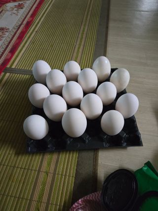 농지임대법님의 자유주제 · 자유게시판 작성글 사진