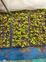 팜모닝 자유주제·자유게시판 게시글 이미지