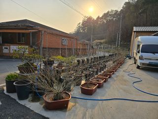 정광일님의 자유주제 · 자유게시판 작성글 사진