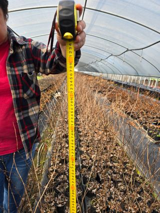 정광일님의 자유주제 · 자유게시판 작성글 사진