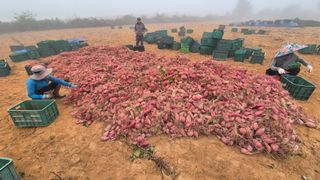 김동수님의 자유주제 · 자유게시판 작성글 사진