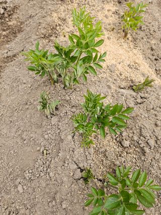 김두영님의 자유주제 · 자유게시판 작성글 사진