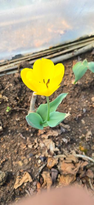 채대영님의 자유주제 · 자유게시판 작성글 사진