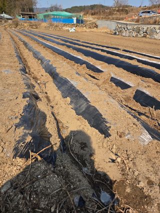 친환경아줌아님의 자유주제 · 자유게시판 작성글 사진