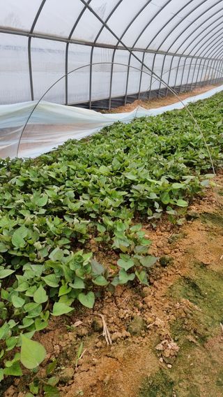 김동수님의 자유주제 · 자유게시판 작성글 사진