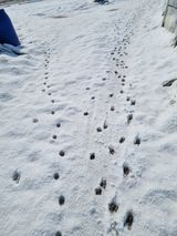 팜모닝 자유주제·자유게시판 게시글 이미지