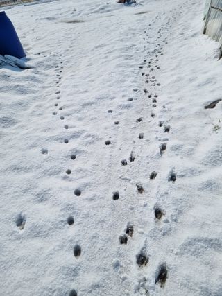 진여화 농원님의 자유주제 · 자유게시판 작성글 사진