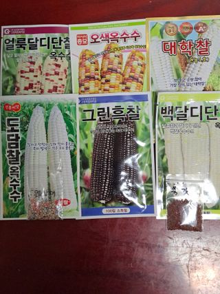 정백영님의 작성글 사진